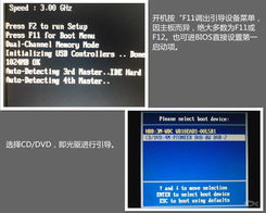 掌握核心技能 從電腦軟硬件基礎到研發進階的在線培訓之路